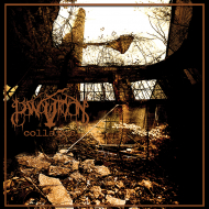 PANOPTICON Collapse 2LP GOLD / BLACK SPLATTER + CD [VINYL 12"]